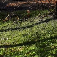 С праздником! :: Юрий Гайворонскiий С праздником! :: Юрий Гайворонскiий