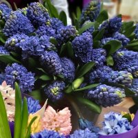 С праздником! :: ИРЭН@ .