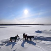 Весна :: Anna Ivanova