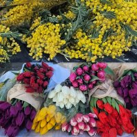 Весенний фейвер :: Татьяна Машошина