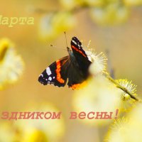 С Праздником Весны! :: Александр Прокудин