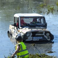 С 8 марта! :: Александр Гриднев С 8 марта! :: Александр Гриднев