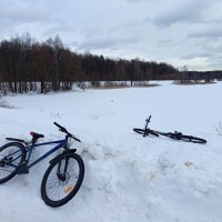 "Железные кони" на отдыхе :: Андрей Лукьянов
