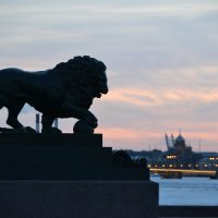 лев :: Ирина Жигунова