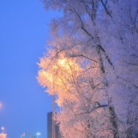 Вечерняя прогулка. :: юрий Амосов