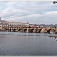 Прага :: Tata Wolf