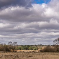 Ранняя весна :: Игорь Сикорский