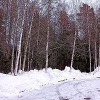 Март :: Татьяна Тюменка Март :: Татьяна Тюменка