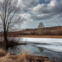 Дыхание весны ... :: Ravile 