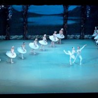 ПИТЕР, Лебединое озеро. :: Виктор Осипчук