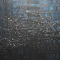 март :: Елена Шаламова