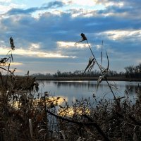 Утро. :: Владимир 