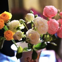 С Праздником Весны! :: ZNatasha -