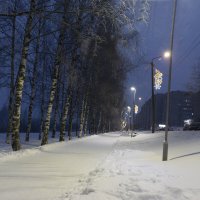 Аллея в снегу :: Александр Буторин