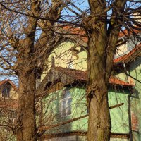 Традиционная самбийско-куршская резьба. :: Константин Белоногов