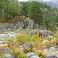 На берегу Катуни :: Мишель71 