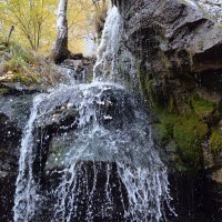 Водопадик в лесу :: Мишель71 