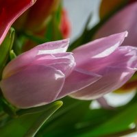 *** :: Виктор Иванович Чернюк