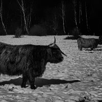 Форпост :: Valziwa Форпост :: Valziwa