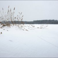 Голубой залив :: **** vedin