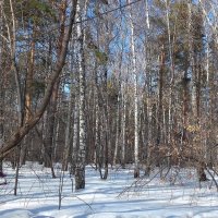 В городском парке :: Галина Нестратова