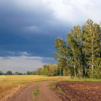 Дождь собирается. :: nadyasilyuk Вознюк