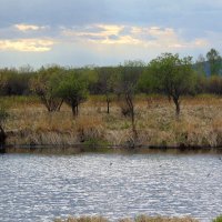 Месяц май. :: nadyasilyuk Вознюк