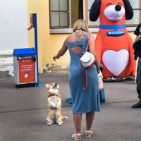 Тату :: Валерий Пославский