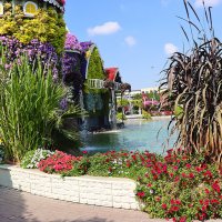 Парк цветов :: Галина Ильясова