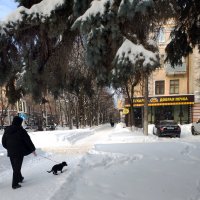 *** :: Валентина Береснева