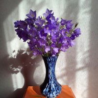 Колокольчики :: Владимир Гришин