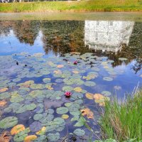 Отражение :: Irene Irene