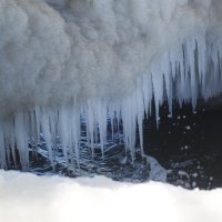 Февраль, Балтийское море, Калининградская область :: Рита Симонова