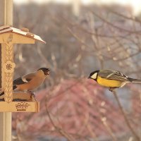 И вам доброе утро.)) :: Татьяна Бравая