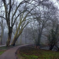 Туманные дорожки :: Юрий. Шмаков