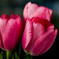 Весеннее настроение... :: Sergey (Apg)