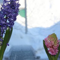 Мой дом :: Венера Чуйкова