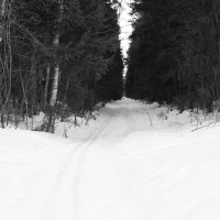 Мечты о ч/б Лейке 57. :: Михаил Елочкин