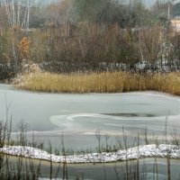 Дали :: sorovey Sol