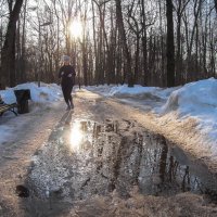 Прогулки в Весеннем Парке :: юрий поляков