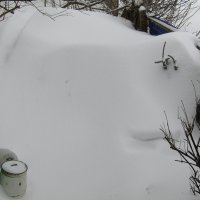 Коза-дереза :: Антонина Балабанова