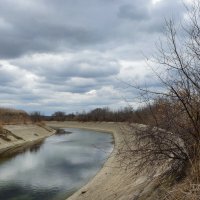 Весенний хмурый день.. :: Надежда Куркина 