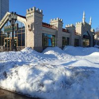 Настоящий март (какой ждем). Перезимовали. :: Андрей Лукьянов