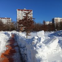 Настоящий март (какой ждем). Перезимовали. :: Андрей Лукьянов