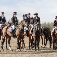 Всадники :: SanSan 