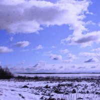 Мартовский денёк :: Людмила Смородинская