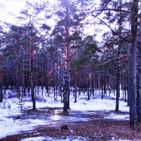 Весна идёт, весне дорогу :: Людмила Смородинская