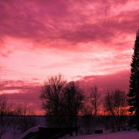Яркий вечер :: Людмила Смородинская