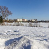 Долгожданное солнышко. :: Михаил "Skipper"