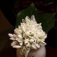 Радость весны :: Леонид 